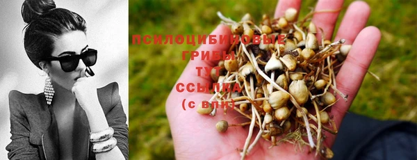 PSILOCYBIN Белоозёрский